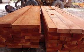 Image result for Khaya grandifoliola