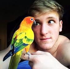 Logan Shirtless With His Littlr Bird Logan Jake Paul Logan Paul Logan Paul Kong