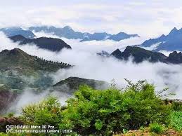 This Is Yemen On Twitter Yemen Twitter Location History