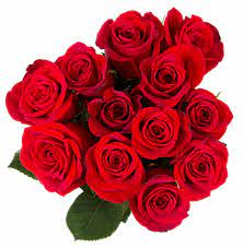 Kroger flower come in large bunches with bright colors. Bloom Haus Red Roses 12 Stem Kroger