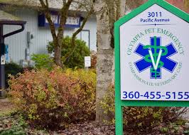 14 отметок «нравится», 0 комментариев — tumwater veterinary hospital (@tvh_vets4pets) в instagram: About Us Olympia Pet Emergency Animal Hospital In Olympia Washington