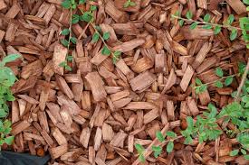 Weitere ideen zu gartengestaltung ideen, garten ideen, vorgarten. Rindenmulch Im Garten Die Wichtigsten Vorteile Und Nachteile