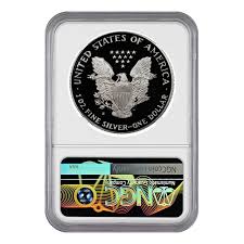 Image result for Sterling Silver 1992 Monaco