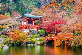 Последние твиты от japan (@japan). Circuit Regard Sur Le Japon 11j 9n Voyamar Aerosun A Partir De 3489