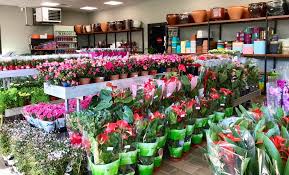 Bahce Market Twitterissa Bahar Ile Birlikte Basaksehir Bahce Market E Yeni Urunler Geldi Cesit Cesit Bitkileri Bir Arada Bulabilecegiz Bahce Market E Sizleride Bekleriz Bahce Marketlerin Adreslerine Https T Co Hr6a6ehr2h Web