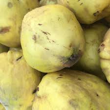 Lumpy Bumpy Perfect For Jelly Quinces At Today S Farmers Market In Apt Apt Provence Farmersmarket Food Quince Fresh Shop Farmersmarket Farmer Food