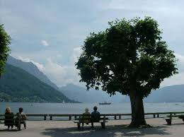There are not so many attractions in the city, but one can walk along the promenades. Seepromenade Picture Of Gmunden Upper Austria Tripadvisor