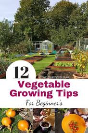 How to start a vegetable garden for beginners. Awesome Tips For Your First Vegetable Garden Growing Vegetables Growing Vegetables For Beginners Gardening For Beginners