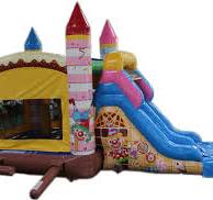 28' Candy Clown Bounce House Wet or Dry Water Slide Combo ...