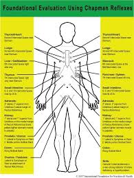 Pin By Laura Holton On Ortho Bionomy Dreams Health