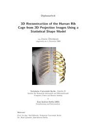 Picture of human rib cage. 3d Reconstruction Of The Human Rib Cage From 2d Projection Zib