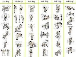 4 Day Plan For Beginners Weight Training Workout Routine