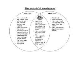 They are structurally different from each other due to the presence and absence of different components or organelles. Animal Cell And Plant Cell Diagram Worksheets Teaching Resources Tpt