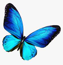 Transparent background butterfly png for editing. Transparent Background Blue Butterfly Png Png Download Transparent Png Image Pngitem