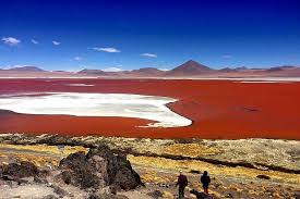 2025 Uyuni Standard Tour