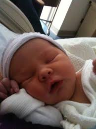 The Spohrs Are Multiplying Annabel Violet