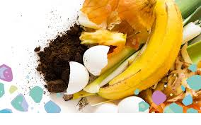How much banana can a baby eat in. What Can I Put Into My Compost Bonnie Bio Nz