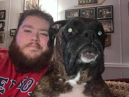 boxer crosses rainbow bridge due to cancer