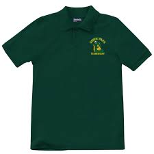 Image result for Dark Polo Green 2002 Park Avenue