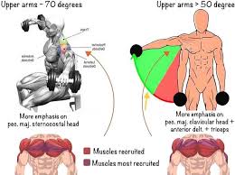 Maybe you would like to learn more about one of these? Chest Flys With Dumbbells Standing Off 63