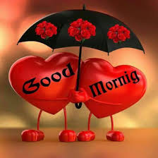 Sanjay Kumar Google Good Morning Love Good Morning Gif Good Morning Love Messages