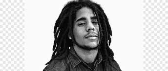 Ziggy Marley png images