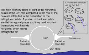 If you do see a halo around the moon or. Dogs Weather Sun Dogs Rainbows Cats The Old Farmer S Almanac