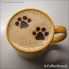 coffee cat cat coffee art coffee art cat coffee