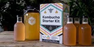 Top 15 Kombucha Brewing Kit Questions And Answers Craft A Brew Blog