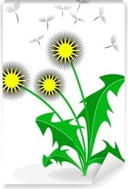 We did not find results for: Fotobehang Kleurplaten Met Bloemen Set Boek Pixers We Leven Om Te Veranderen
