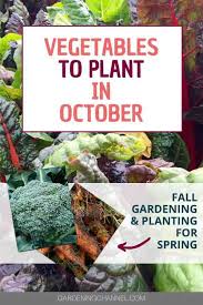 Check spelling or type a new query. Vegetables To Plant In October Gardening Channel
