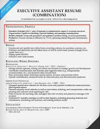 How To Write A Resume Profile Professional Examples