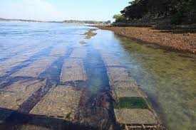 Parcs A Huitres A Baden Explorez Les Parcs A Huitres Du Golfe Avec Yvon Tourisme Parcs Huitres