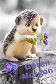 Guten Morgen Guten Morgen Guten Morgen Sonnenschein Songtext Best Ideas Guten Morgen Sonnenschein Guten Morgen Lustige Guten Morgen Grusse