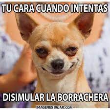 Imagenes De Cumpleanos Para Amigo Borracho Amigos Borrachos Memes Graciosos De Animales Chistoso