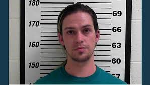 Former certified nurse takes plea deal after patient's family records abuse  of dementia patient