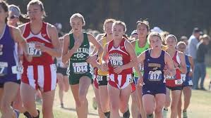 The Class 4 Girls Pre-Season Virtual Meet