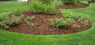 We did not find results for: Bark Chippings Woodland Timber Products Ltd