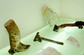 Look at how beautiful the lighting is on one of our clients' shelves. Issue 6 Envy Bidoun