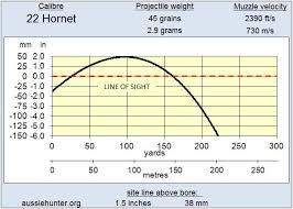 22 Hornet Aussiehunter