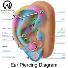 Ear Piercing Pain Chart Septum Piercing