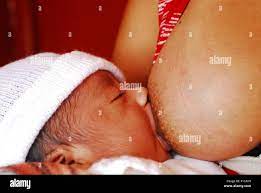 Guatemala, Jalapa, mother (Sara Maritza Gregoria Miguel 21 years)  breastfeeding baby of 22 days (no name), (MR Stock Photo - Alamy
