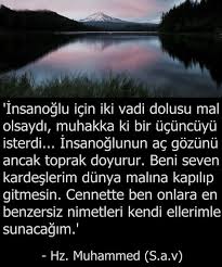 Hadis Corek Otu Yagi Com S A V Ozlu Sozler Islamic Quotes Dini Alintilar