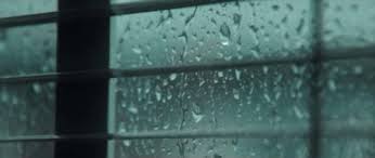 5 Rain Gif Tumblr Rain Gif Rain Window Rain This app contains rain gif, rain animated images, rain images for lover.make every moment of your rain beautiful by sending rain gifs with amazing animations. 5 rain gif tumblr rain gif rain