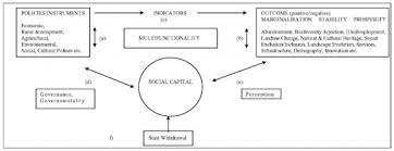 En working capital negative, net funding requirement negative, accounts positive : The Importance Of Social Capital In Rural Development Networking And Decision Making In Rural Areas