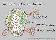 This Is My Favorite Biology Biology Humor Science Puns Biology Jokes