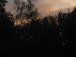 La noche de san juan bautista se vive con hogueras, fuegos artificiales, música y baile, todo en una sola noche, en la víspera del 24 de junio. San Juan En Finlandia Descubriendo Finlandia