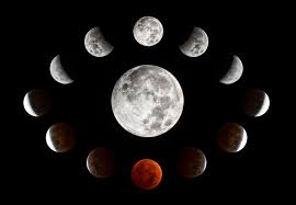 How to use lunar in a sentence. How A Total Lunar Eclipse Saved Christopher Columbus Space