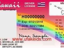 The name on your hawaii state identification card must match the name on the document you present for proof of legal name, date of birth and legal presence. 15 Visiting Hawaii Id Card Template With Stunning Design With Hawaii Id Card Template Cards Design Templates