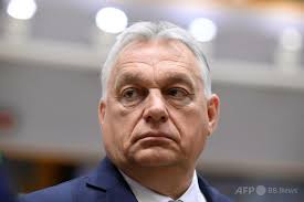 イサーク キーセ テリン選手 完全移籍加入のお知らせ